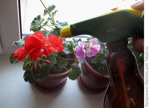 Прост и легок в использовании