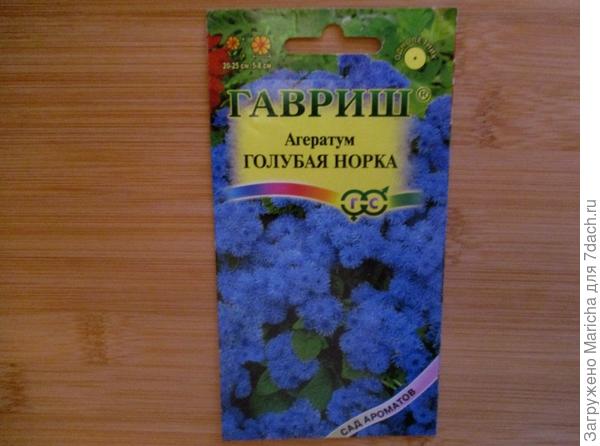 Агератум "Голубая норка"