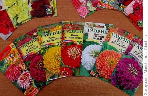 Циннии от Seedspost
