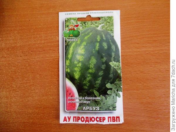 Арбуз &laquo;Продюссер&raquo;