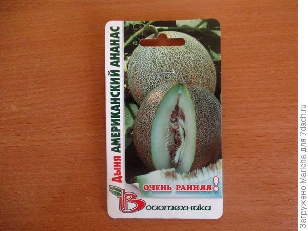 Дынька &laquo;Американский ананас&raquo;