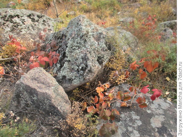 камень