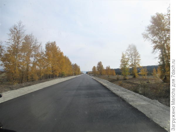 Домой