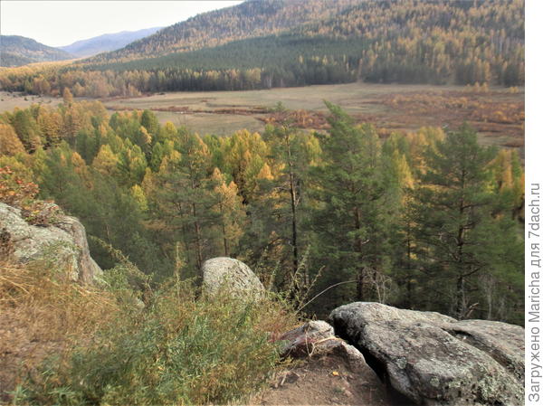 лес