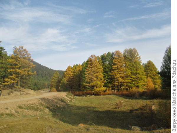 Осень