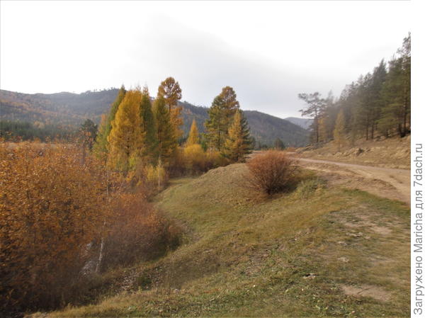 осень