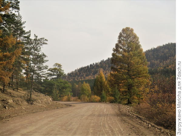 Дорога