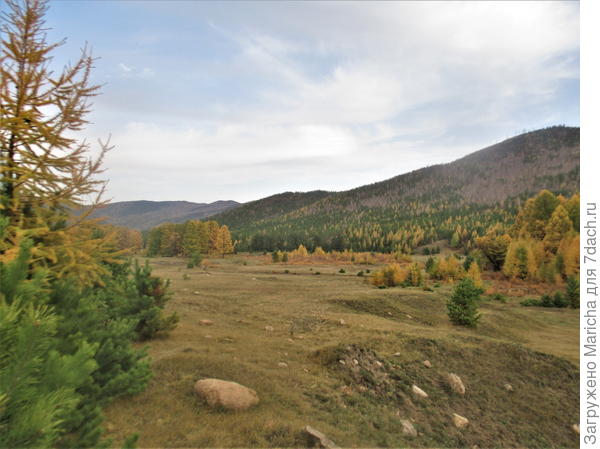 Лес