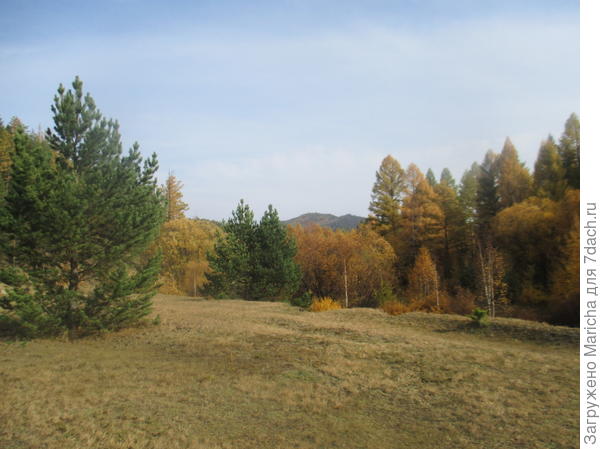 Осенняя полянка