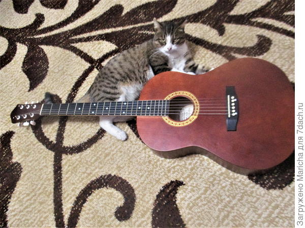 А я сыграю и спою песню про день рождения!