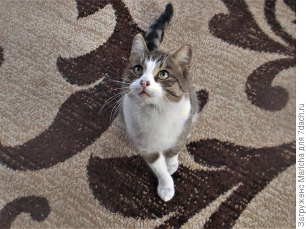 С Днем рождения!