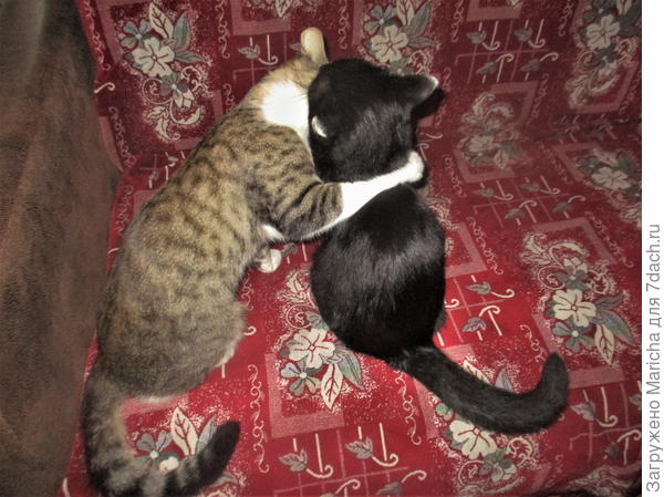 Мы с ним немного пошептались.