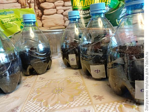 " инкубаторы" для посева готовы
