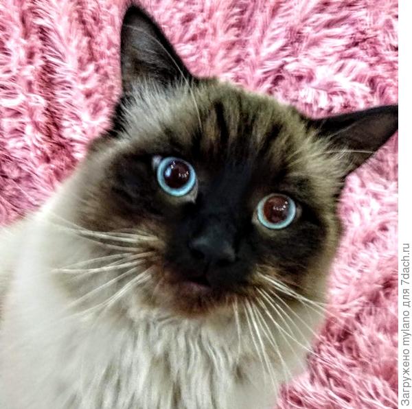 ...и остолбенели :))