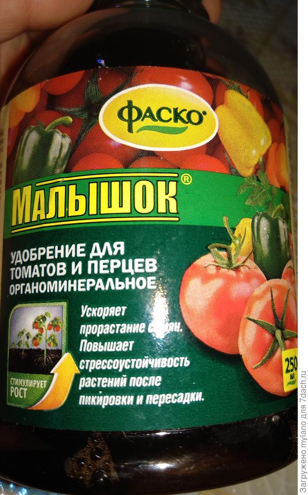 Малышок, ты супер!