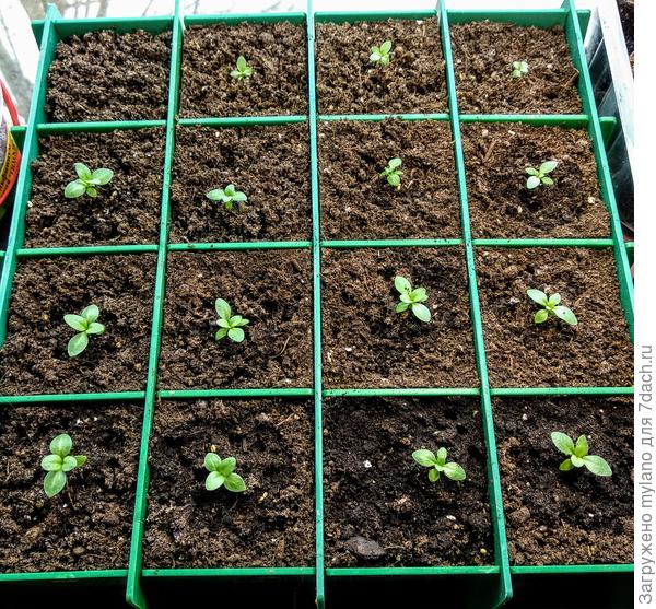 3 марта, вечер