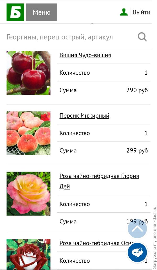 Вот он