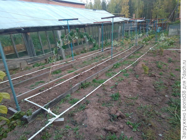 капельный полив