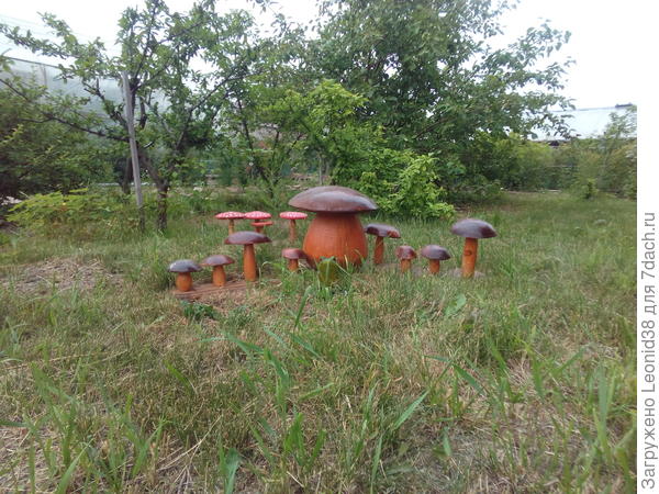 грибница