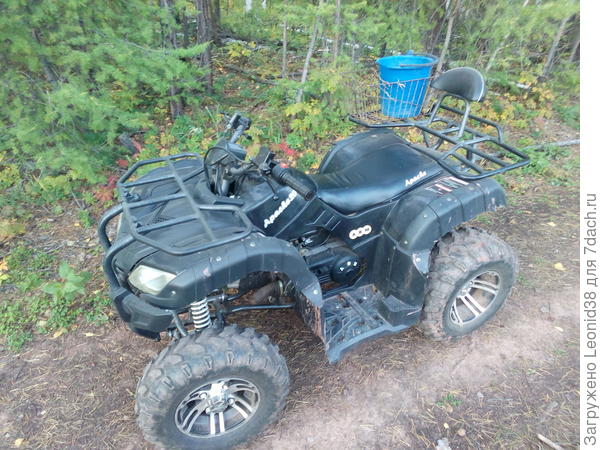 Последний раз за грибами