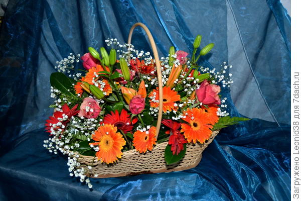 С Юбилеем!!!