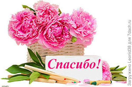 Большое спасибо Наталья!!!