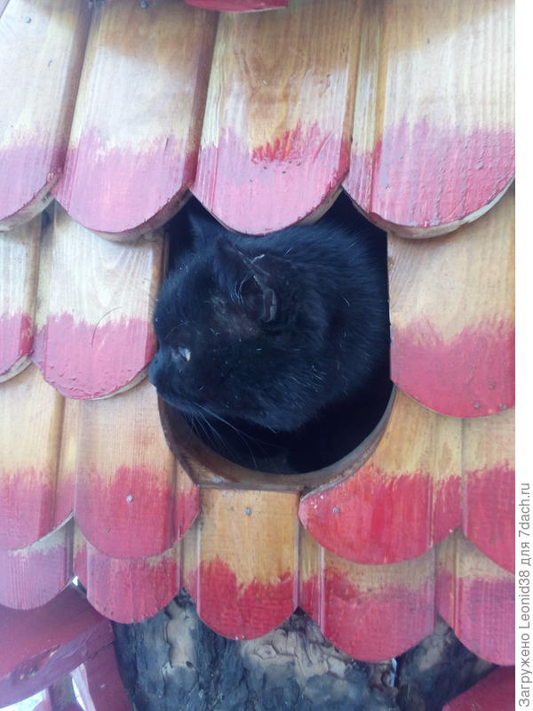 Домики они у меня заняли. Банзай второй этаж