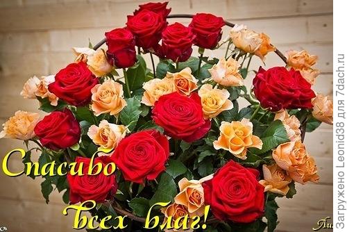 Спасибо большое. Давно понял, хорошее настроение в основном зависит от нас. От нашего умения и восприятия жизни.