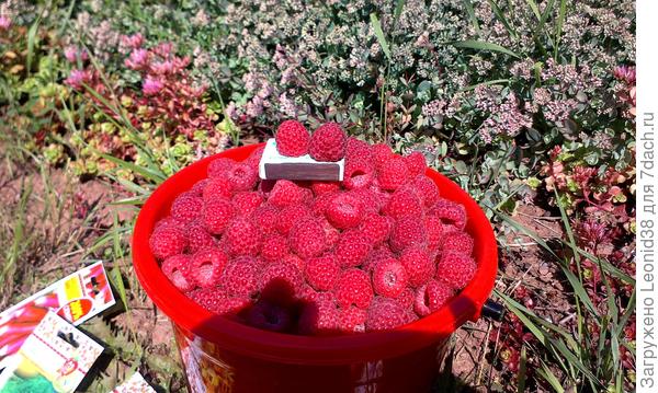 Франц Хасанович вы правильно заметили.  Зависит от солнечных дней.