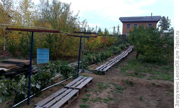 европаллеты - поддоны использую как трапики