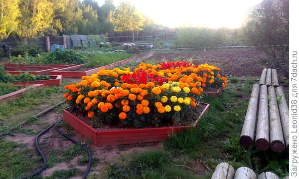 у меня есть на участке лавочки из карандашей.