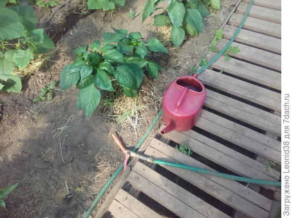 шланг с краном.