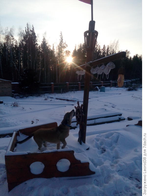 Чип помогает