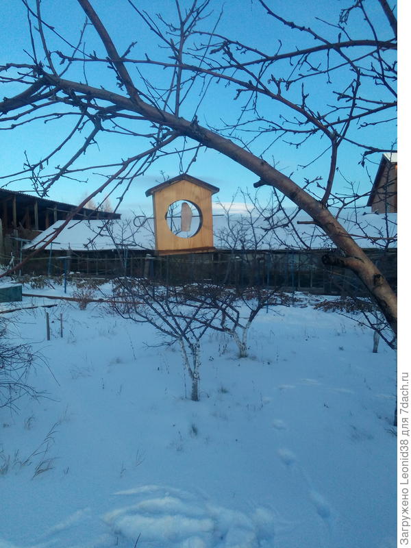 следующую кормушку на яблоньку