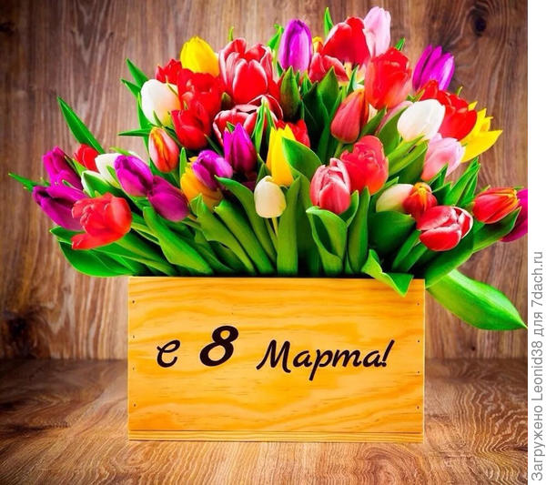 Семидачниц с праздником !!!