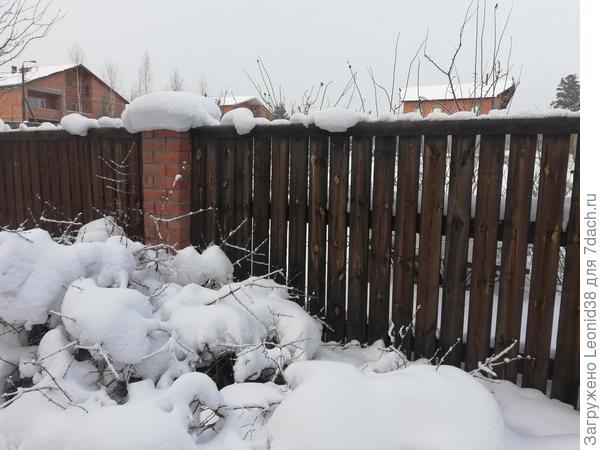 Как видите, все на месте