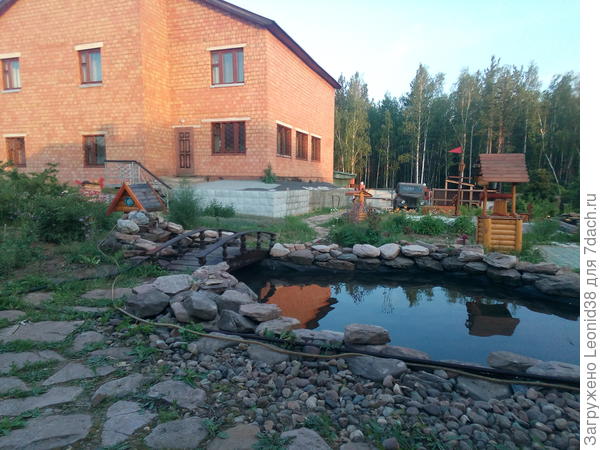 это у меня прудик на участке и тоже галька имеется