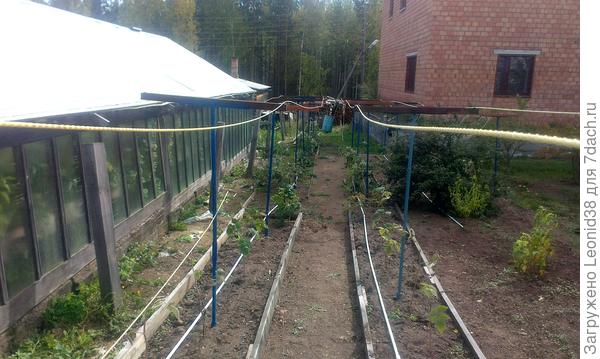 и шпалеры из труб и стеклопластиковой арматуры