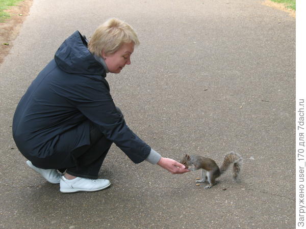 В лондонском парке