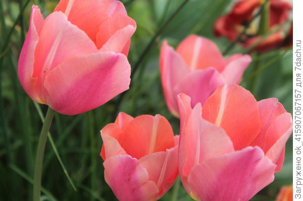 поздравляю