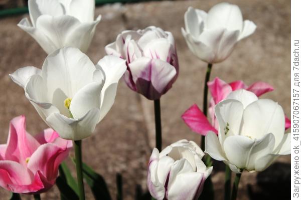 Поздравляю!