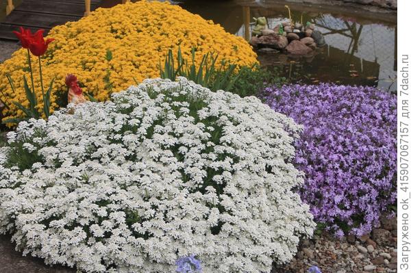 тройка призёров.