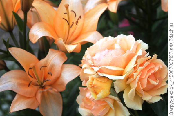 Поздравляю!