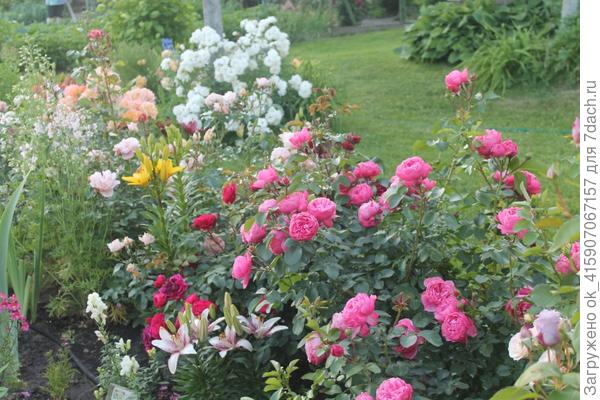 леонардо да винчи