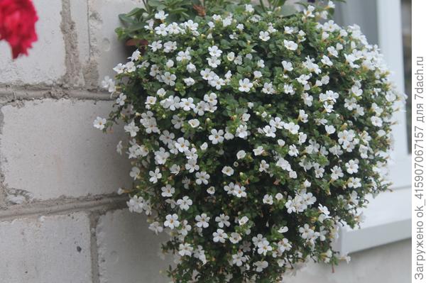 это октябрь