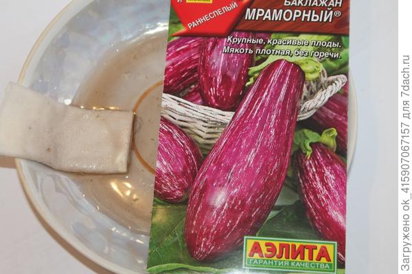 Замочены в Энергене