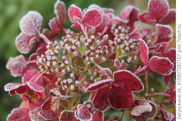 В середине октября