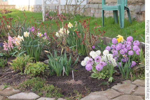 цветник принарядился