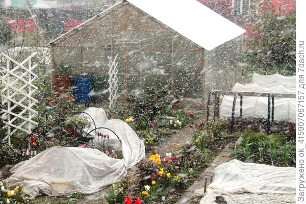 Первый раз вижу такой май