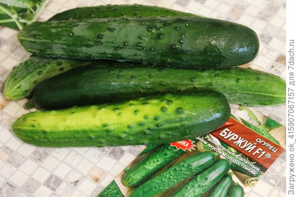 вот они какие